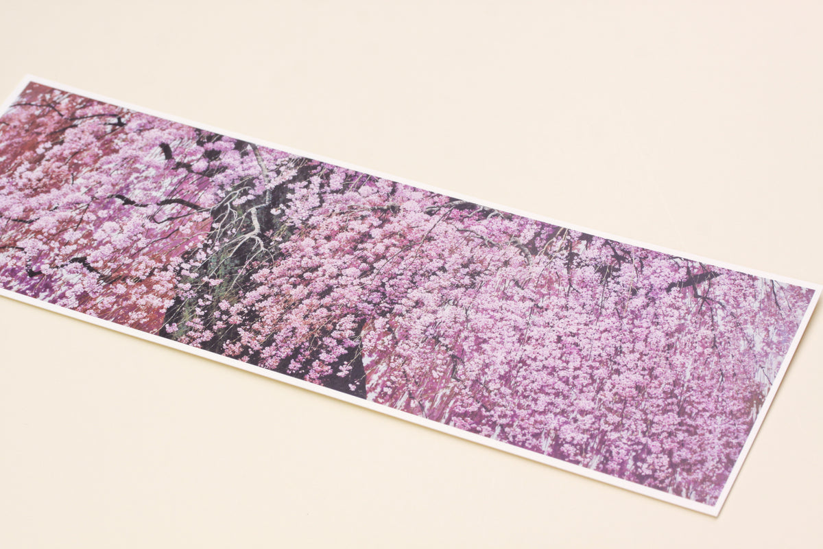 PC_3_1200x1200.jpg?v=1647237164