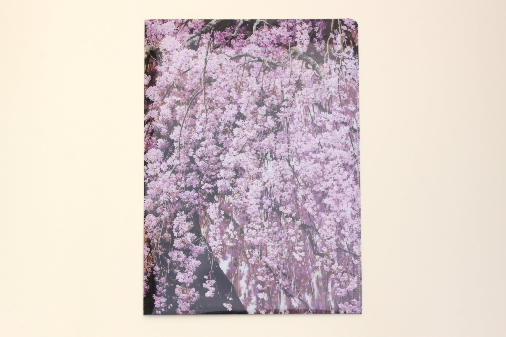 A4CF_1_2048x.jpg?v=1647237277